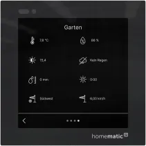Homematic IP Glasdisplay - Plus Schwarz