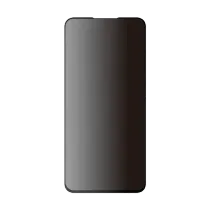 Peter Jäckel Privacy Capsule Glass für Samsung A57 5G/ S25 FE