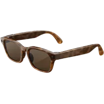 Meta Adventurer Standard Braun getönt Tortoise Braun