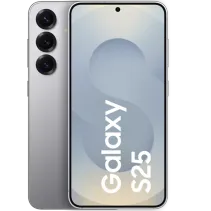 Samsung Galaxy S25 Silver Shadow