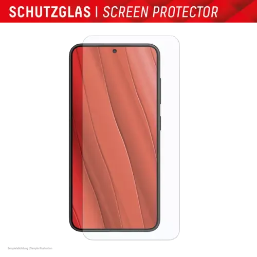 Displex Real Glass + Case Samsung Galaxy S24+