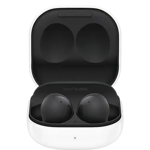 Samsung Galaxy Buds2 Graphite