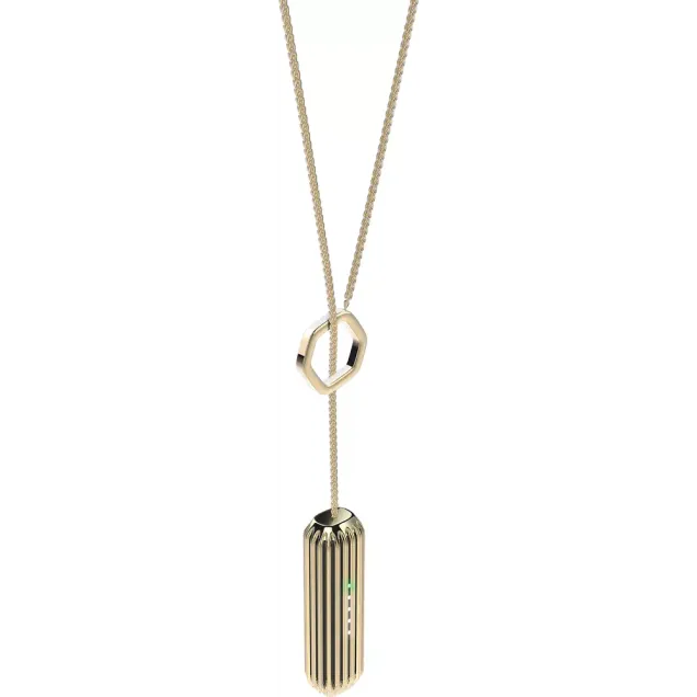 Fitbit Kette FLEX2 Gold