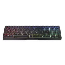 CHERRY MX 3.0S Wireless Gaming-Tastatur Schwarz