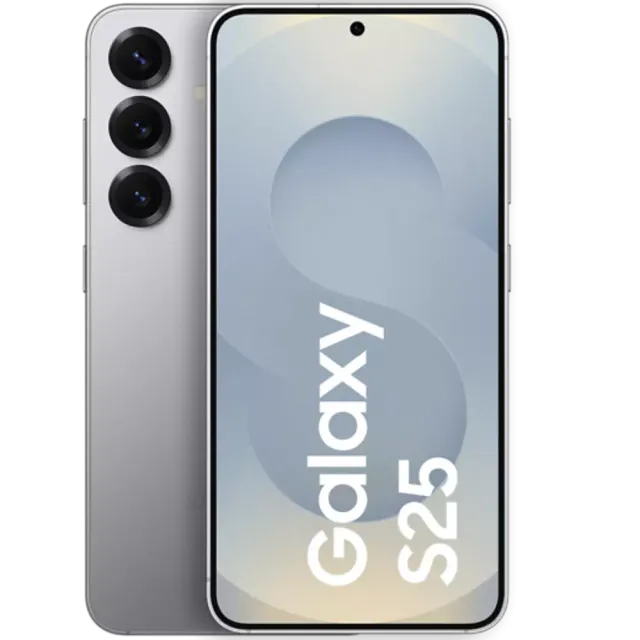 Samsung Galaxy S25 Silver Shadow