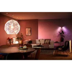 Philips Hue White & Col. Amb. E14 Doppelpack 2x470lm Weiß