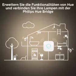 Philips Hue White Ambience Enrave Deckenleuchte M inkl. Dimmschalter Schwarz