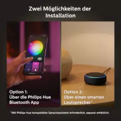 Philips Hue White & Color Ambience Infuse Deckenleuchte L Weiß