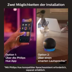 Philips Hue White & Color Ambience Surimu Panel 120x30cm Schwarz