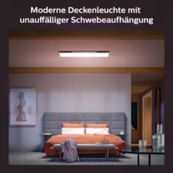 Philips Hue White & Color Ambience Surimu Panel 120x30cm Schwarz