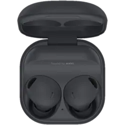 Samsung Galaxy Buds 2 Pro Graphite