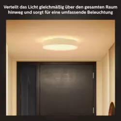 Philips Hue White Ambience Enrave Deckenleuchte M inkl. Dimmschalter Schwarz