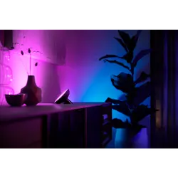 Philips Hue White & Color Ambiance Bloom Tischleuchte Schwarz