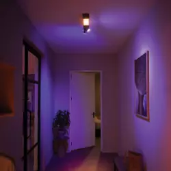 Philips Hue White & Color Ambience Centris Spot 2 flg. Schwarz