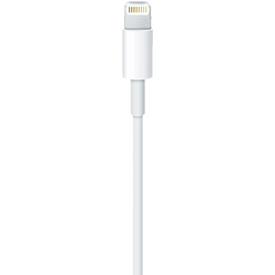 Apple Lightning auf USB Kabel (2m) Weiß