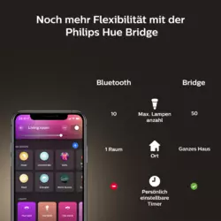 Philips Hue White & Color Ambience Surimu Panel 120x30cm Schwarz