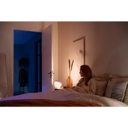 Philips Hue White & Col. Amb. Iris Tischleuchte 570lm Weiß