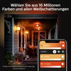 Philips Hue White & Color Ambience Econic Wandleuchte quadratisch Schwarz
