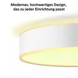 Philips Hue White Ambience Enrave Deckenleuchte M inkl. Dimmschalter Schwarz